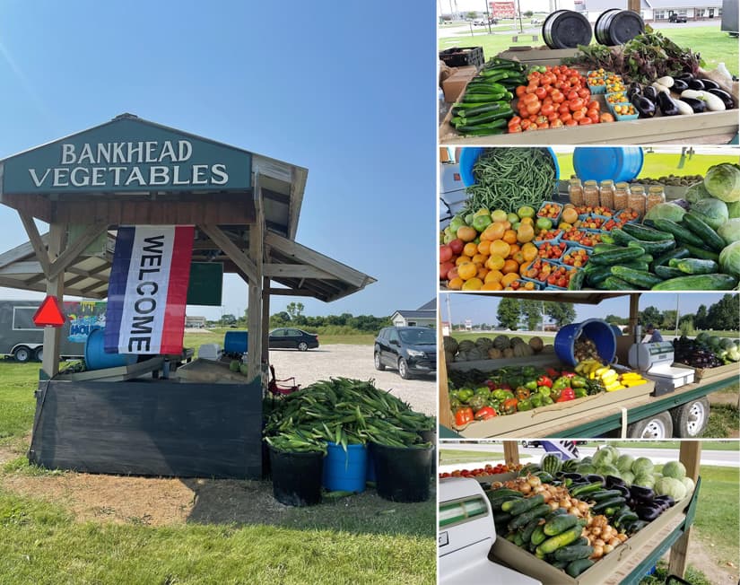Bankhead Vegetables Missouri Farm Stand