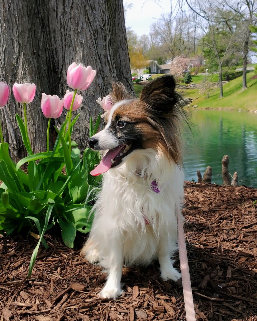 Finding Your Motivation for Your Morning Routine