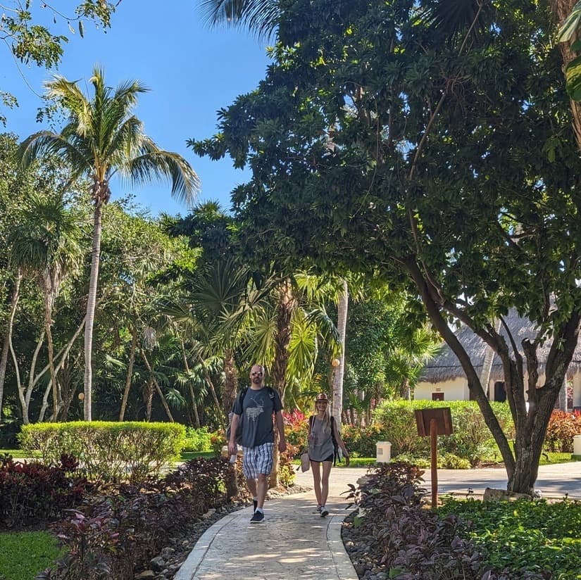 Food as Fuel | My Healthy Eating Journey