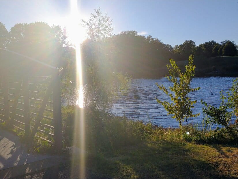 New Years Resolutions for Finding Joy & Gratitude in Ordinary Moments