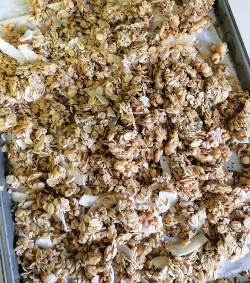 Coconut Chia Granola Croutons