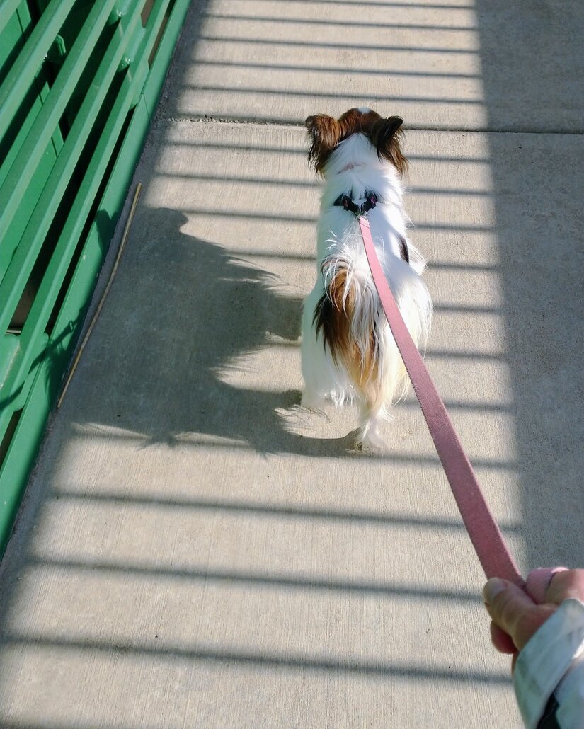 Practice in Surrendering Control & Finding Your Power